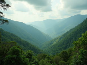 Conservación y biodiversidad en Hycha Guaia, Costa Rica