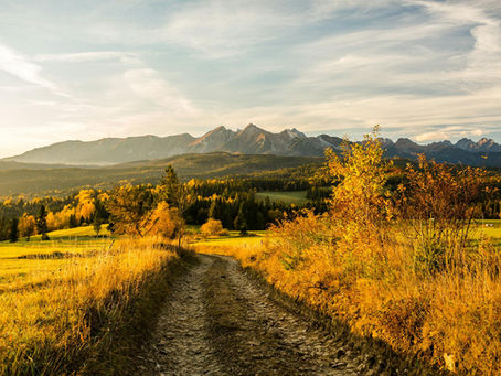 Best US National Parks: Hidden Gems for Your Custom Trip