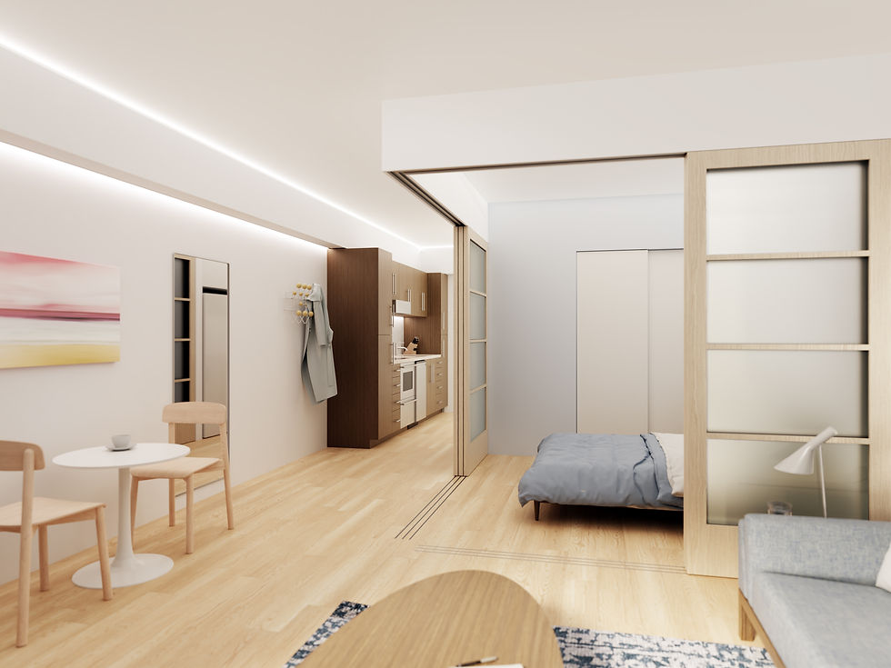 IHT.Apt 2_V2_view2.jpg