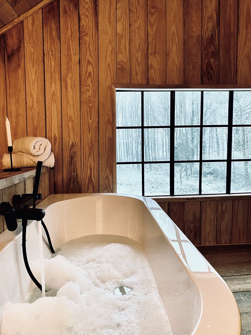 Ecorce cabane perchée baignoire