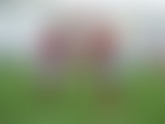 Renato em modo Jorge Jesus. Flamengo vence com autoridade o Corinthians e segue invicto