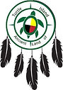 Turtle island feathers.jpg