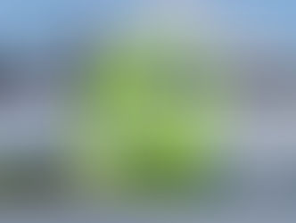 🚐📲 Neu bei uns: Unser WhatsApp-Kanal!