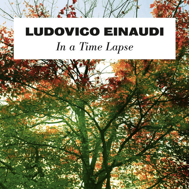 a tree background along with text In a Time Lapse Album cover MyMusicSheet