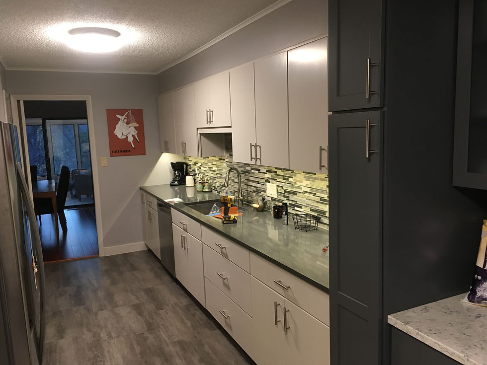 Painted Cabinets 1