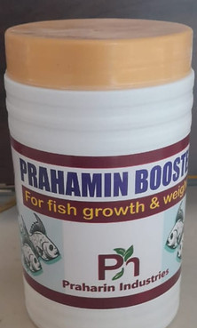 WhatsApp Image 2025-03-17 at 14.08.31.jpeg