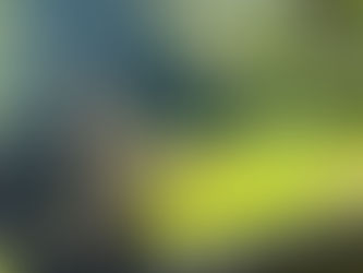 The Story of the Traveling Bigfoot