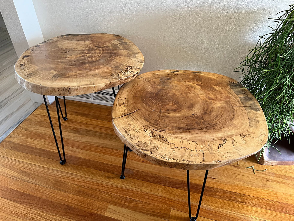 Live Edge Sycamore Tables with Hairpin Legs