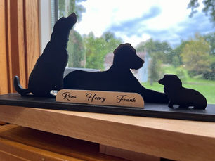 The Pet Silhouettes