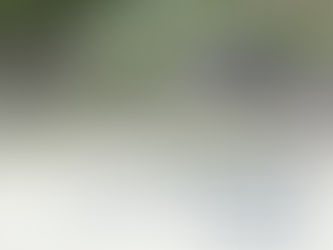 Oregon Comprehensive Plan Draft