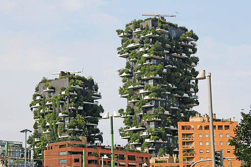 Design-sans-titre.jpg