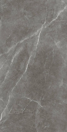 BAYONA GREY -1 186KB.jpg