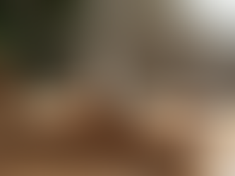 Elevating Your Home Aesthetics with Chic Tabletop Decor