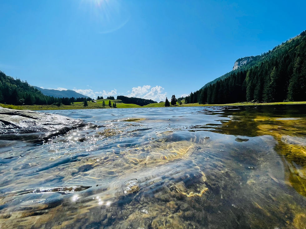 Biohotel-Sommerau-Seewaldsee4.jpg