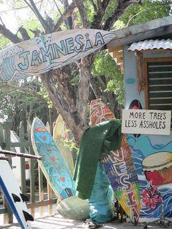 Jamaican wisdom