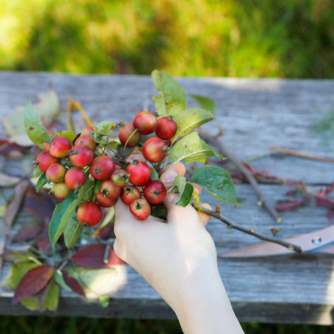 Berries