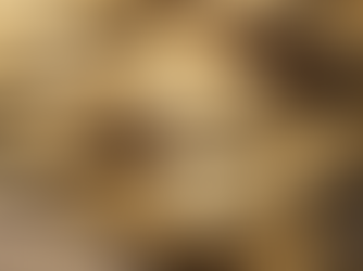 Why Most Stock Investors Lose Money and How to Avoid It