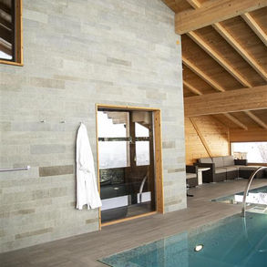 Schwimmbad & Wellness