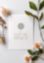 Green logo design for wellness business promoting nature-based healing in Wales.