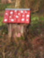 A tree stump transformed into a whimsical fairy house, capturing the magic of British folklore.