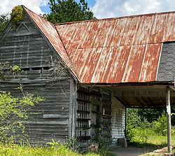 just cool no ornament.jpg