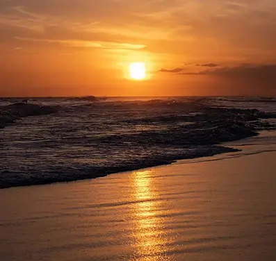calm florida coastline representing wellness.