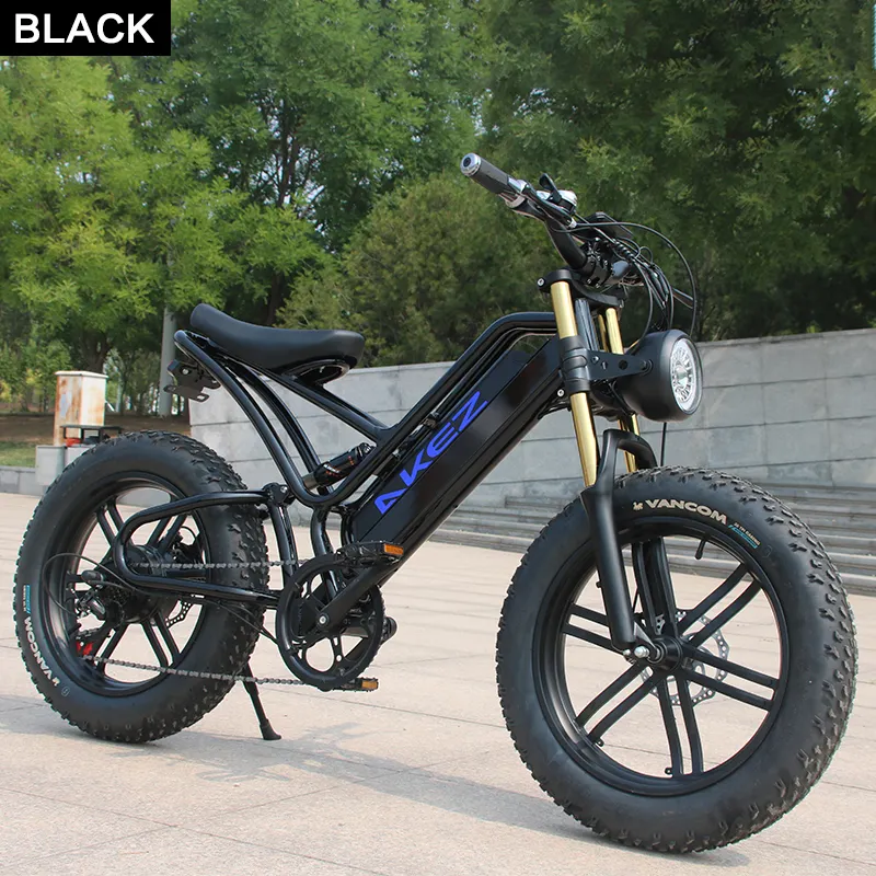 Thumbnail: 20 zoll 1000W Elektrische Cruiser Bike Für Erwachsene Elektrische Fahrrad mit 4