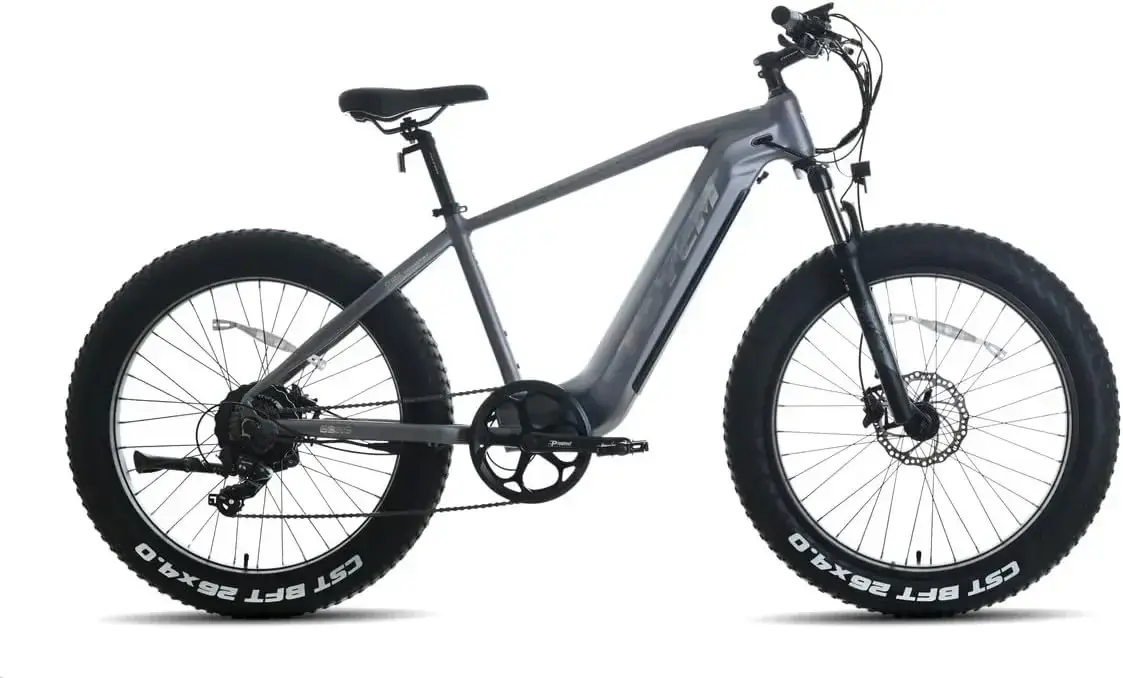 Neues erwachsenes Elektro fahrrad 750w fetter Reifen E-Bike 48v 17.5ah austausc