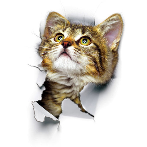 Thumbnail: 3D Cats Wall Sticker Hole View Bathroom Living Room Home Decor Animal Decals
