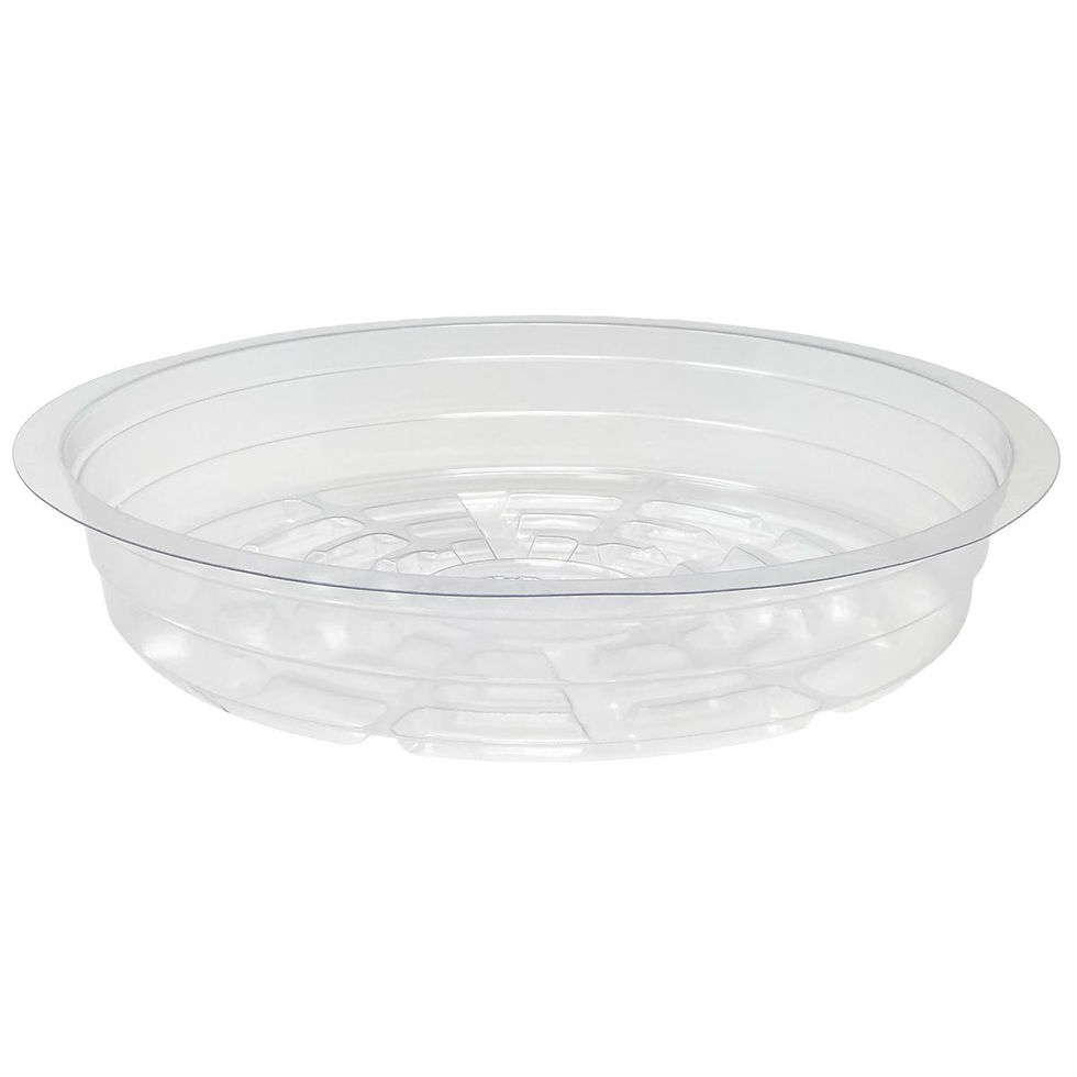 Plant Saucer