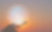 312361680_525980669535469_3491424691403775834_n_edited.jpg