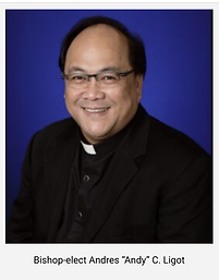 Fr. Andy Photo.png