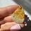 Miniature : Corail Fossile