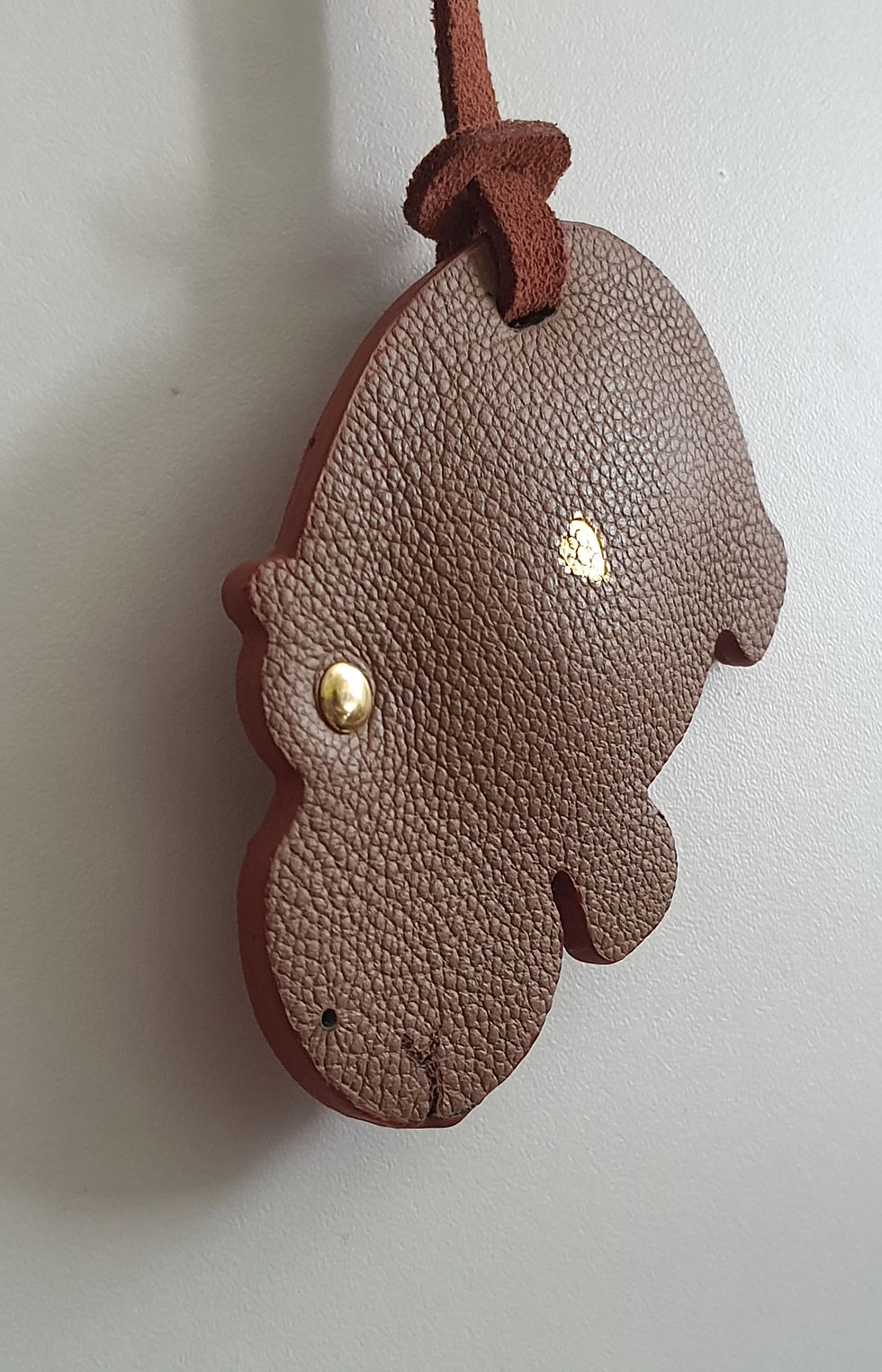Miniature : Nos animaux 