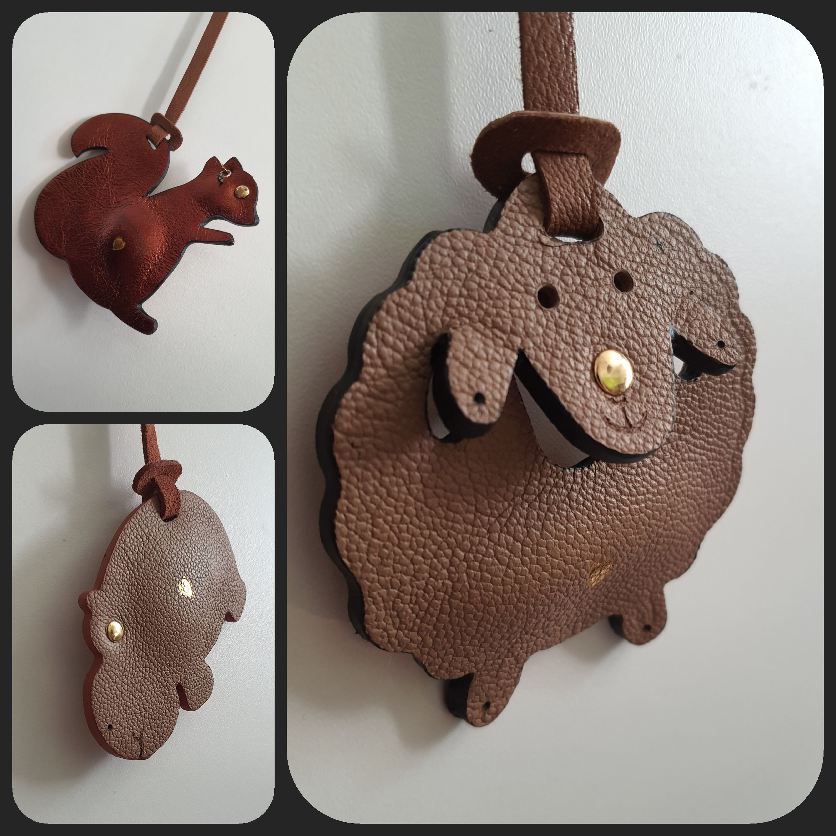 Nos animaux