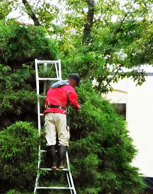 4620687_s.jpg