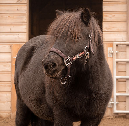 Lente Coaching_6671.jpg