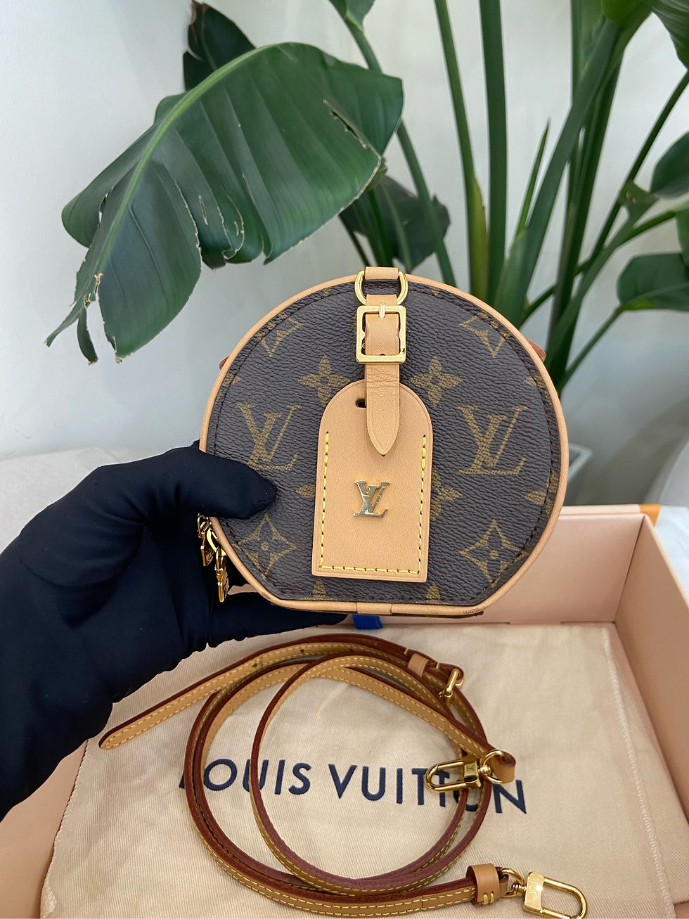 LV Mini Hard Biscuit