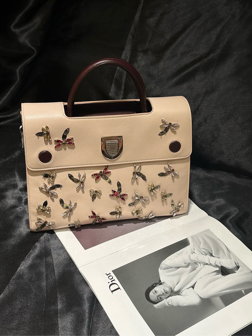 DIOR Ever Classic Shield Handbag