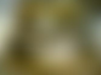 Don't Worship the Buddha - 2sep21