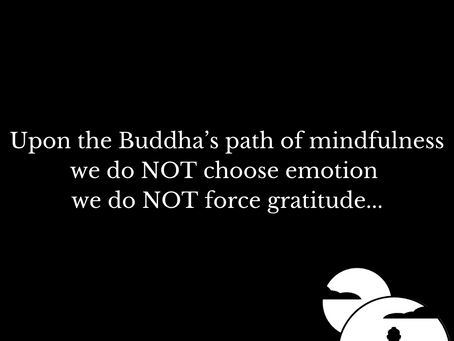 Do NOT Force Gratitude...