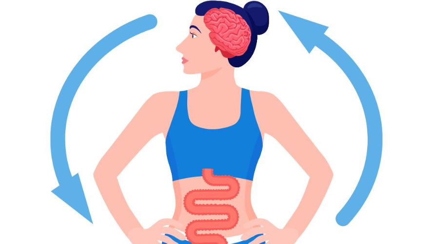 Lien intestin cerveau