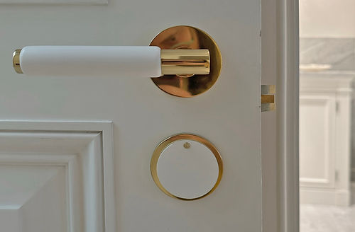 Arbor lever handle and escutcheon colour coated to match the door