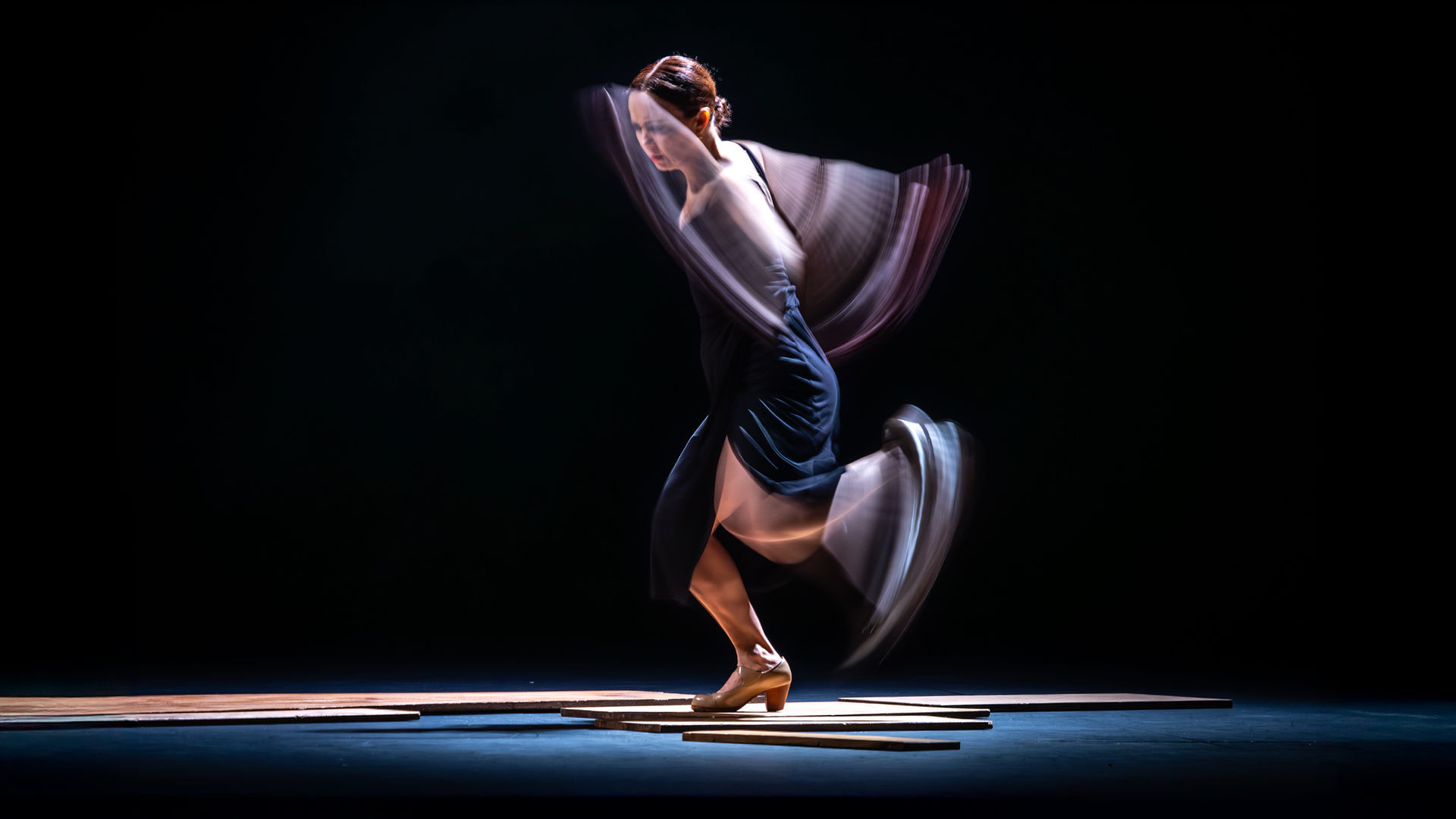 Flamenco photography gallery