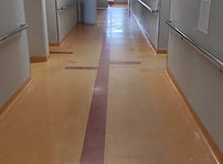 IMG_20240315_085921.jpg
