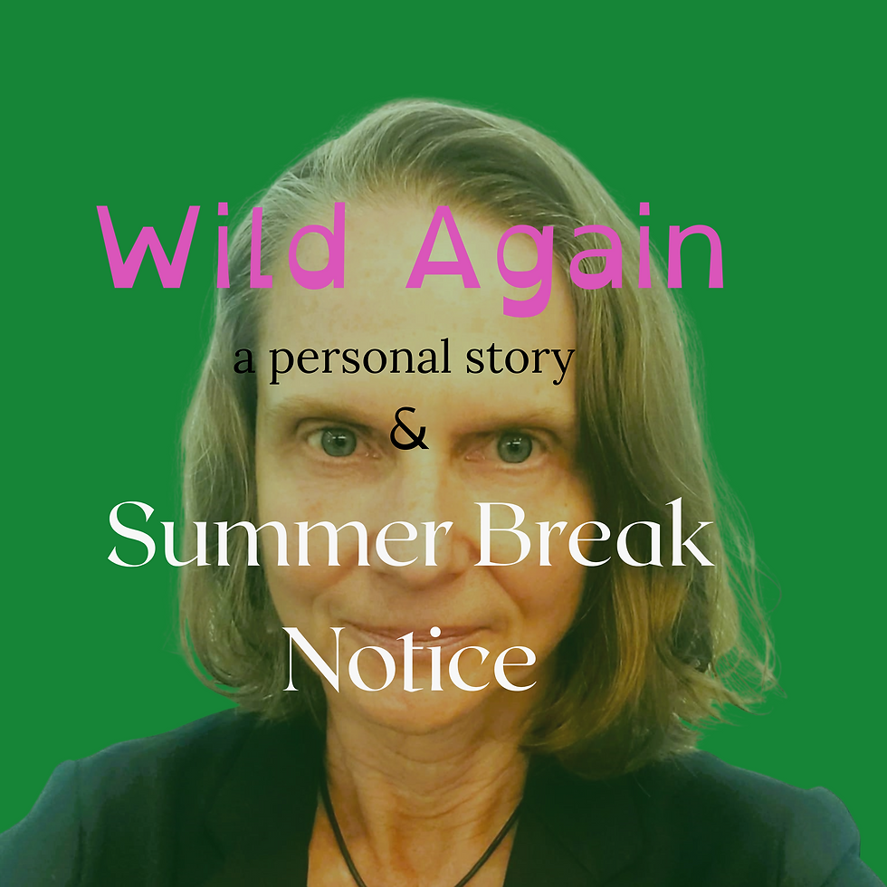 The author Holly Winter Huppert against a green back drop with the words: Wild Again: A Personal Story & summer break notice. Includes information on natural estorgen replacement, organic hormonal replacement