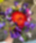 9AD14640-9557-4513-8785-A4E51A9AE503.jpeg
