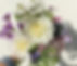 5282968E-A52D-4744-AEF9-019AAACD12C5.jpeg