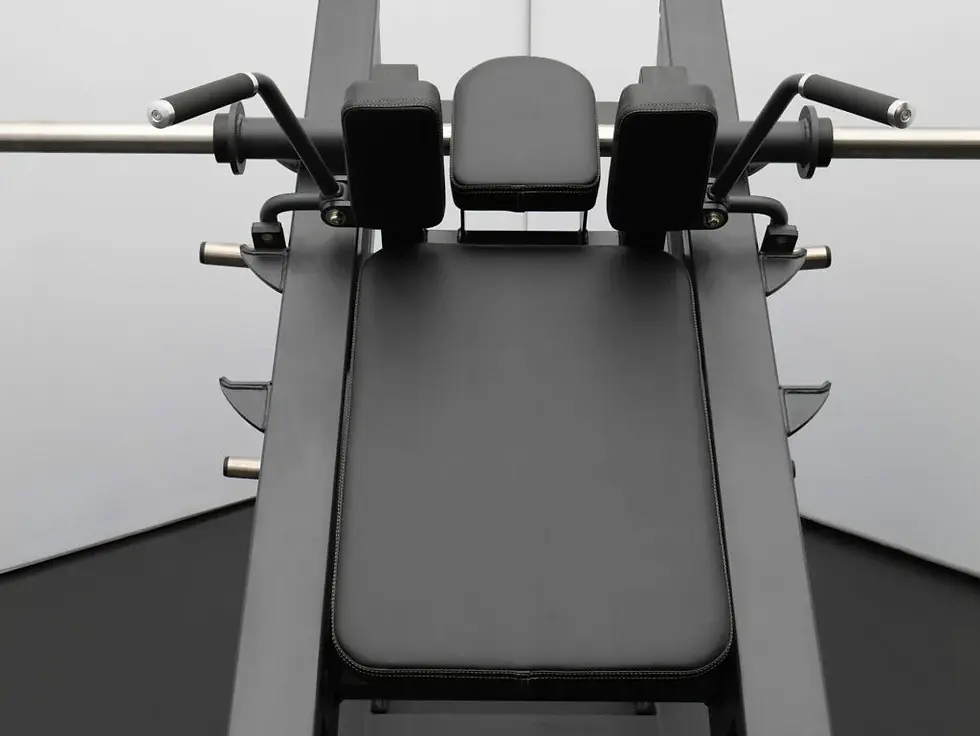 Thumbnail: Adjustable Hack Squat FL1811