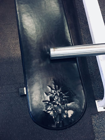 Weight Machine Uphostery .jpeg